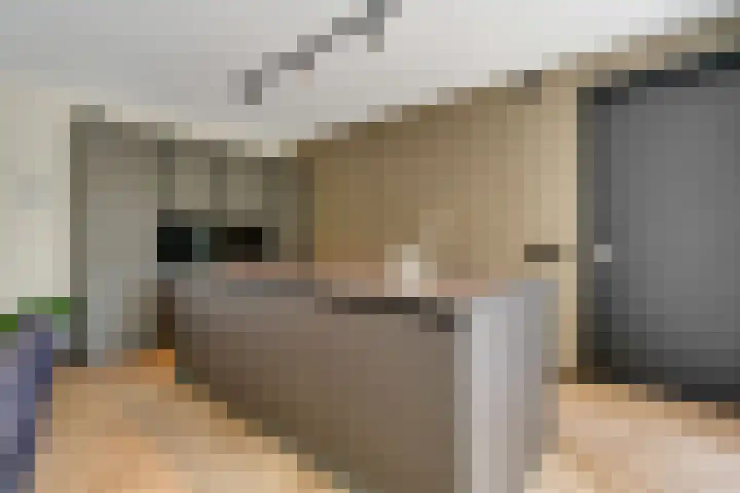 Olde Gard 15 Zwiggelte thumbnail 11