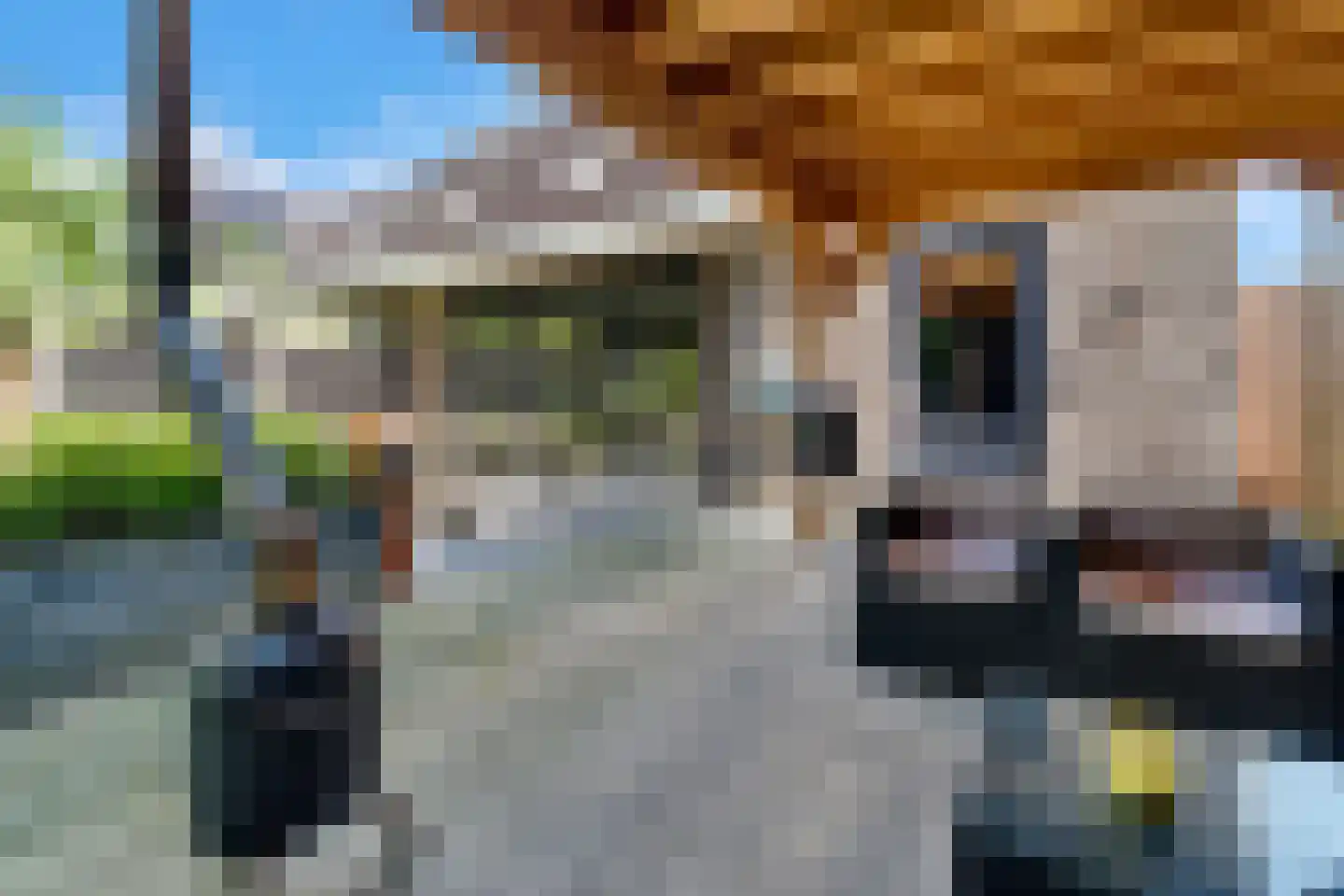 Olde Gard 15 Zwiggelte thumbnail 17