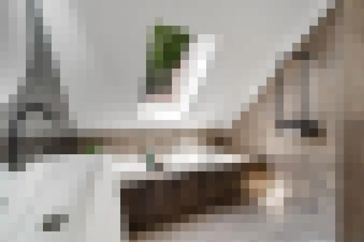 Olde Gard 15 Zwiggelte thumbnail 23