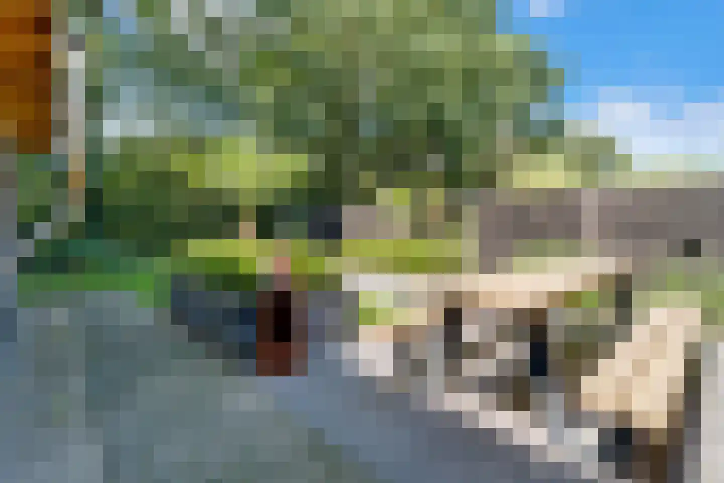 Olde Gard 15 Zwiggelte thumbnail 32