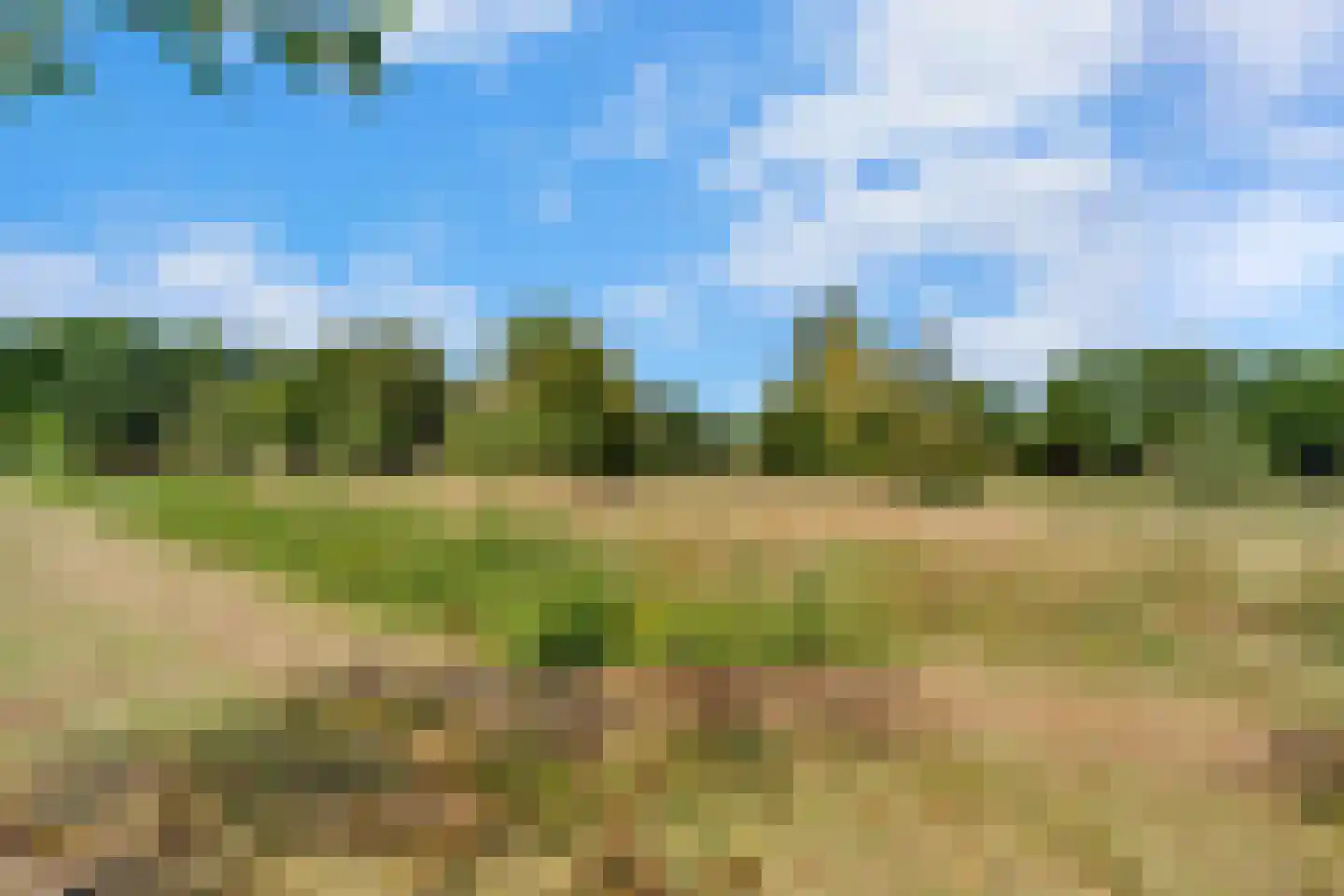 Olde Gard 15 Zwiggelte thumbnail 36