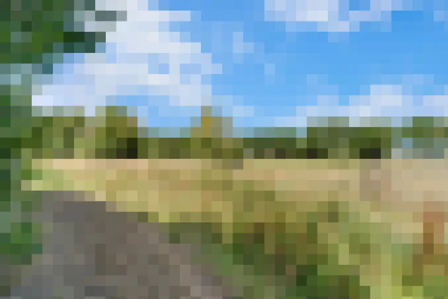 Olde Gard 15 Zwiggelte thumbnail 37