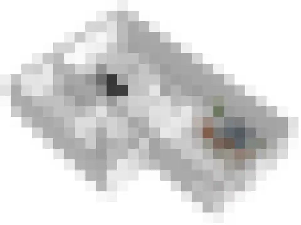Olde Gard 15 Zwiggelte thumbnail 39