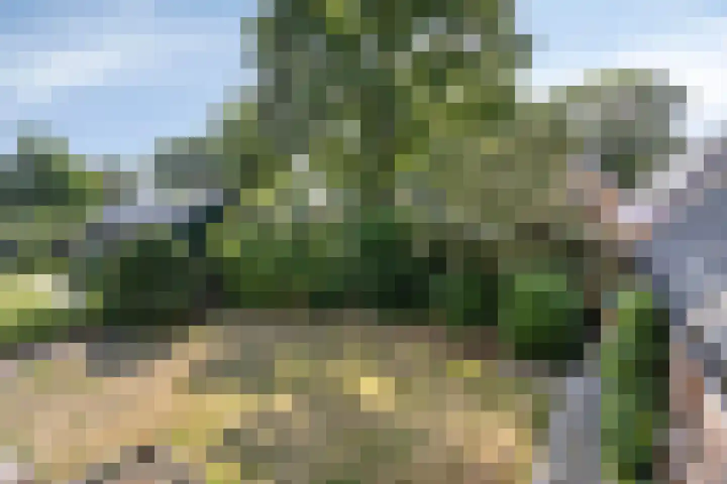Olde Hof 14 Vledder thumbnail 18