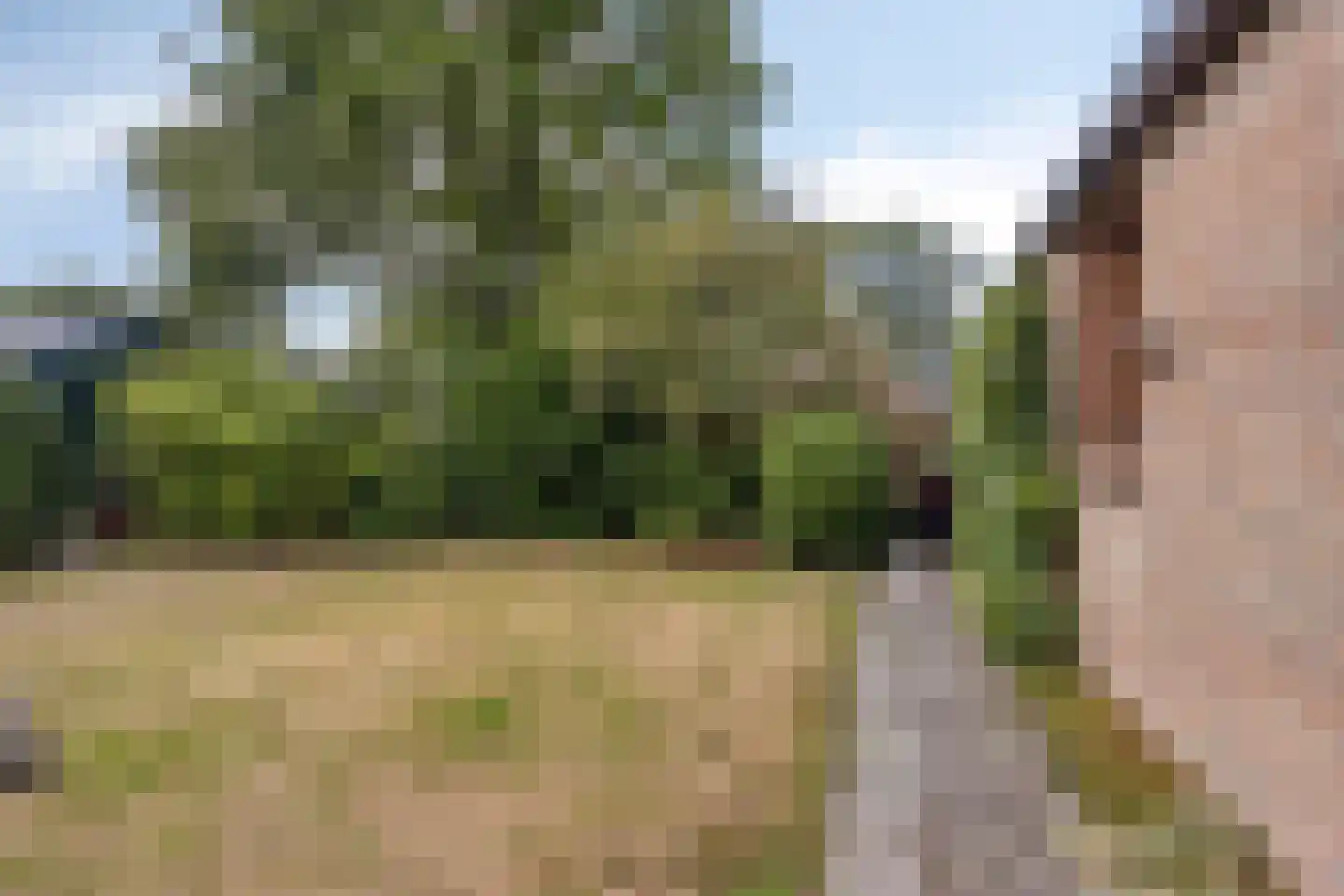 Olde Hof 14 Vledder thumbnail 20