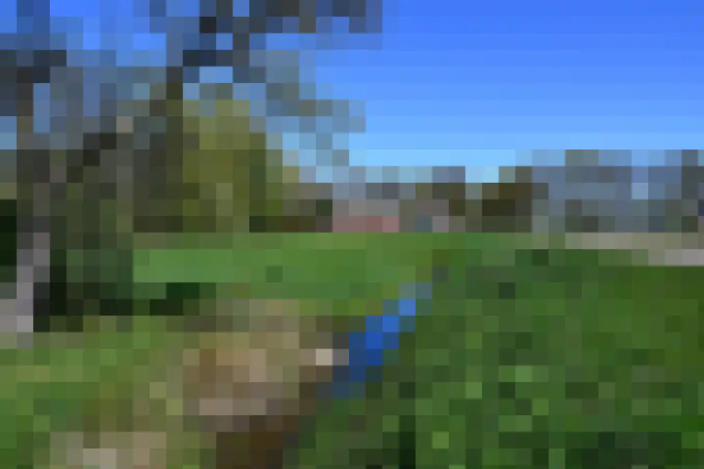 Olde Hofweg 3 Westervelde thumbnail 13