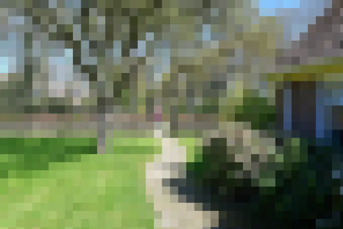 Olde Hofweg 3 Westervelde thumbnail 7