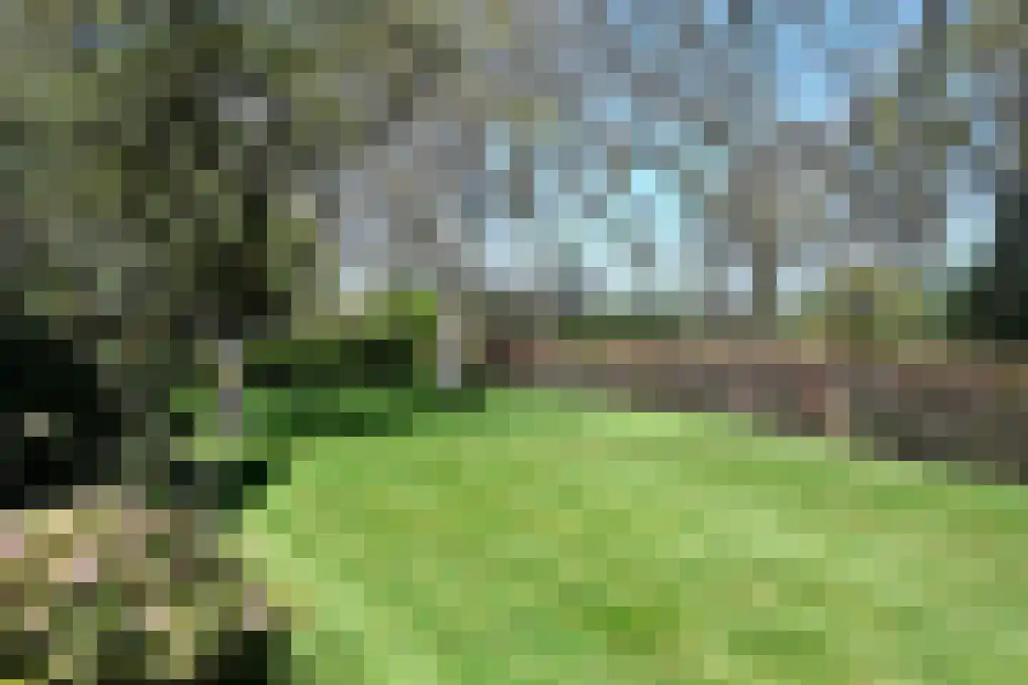 Olde Hofweg 3 Westervelde thumbnail 9