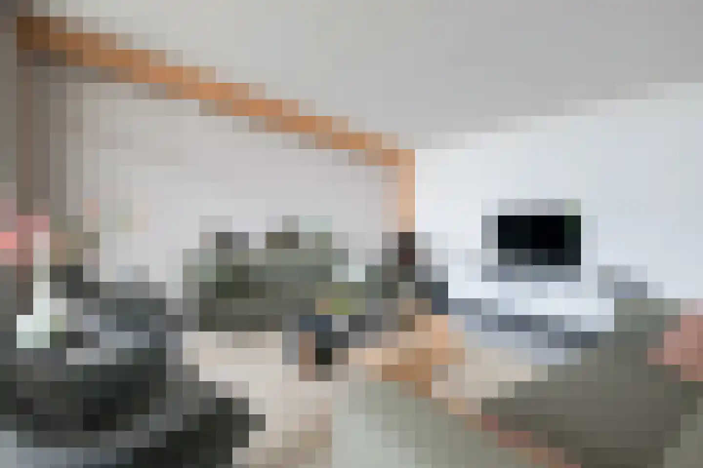 Olde Kaste 4 A Keijenborg thumbnail 24