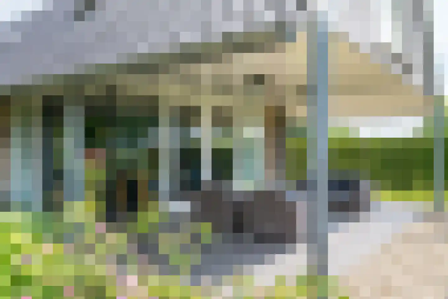 Olde Kaste 4 A Keijenborg thumbnail 63