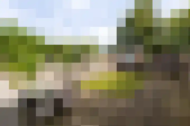 Olde Vossenhof 16 Zeddam thumbnail 22