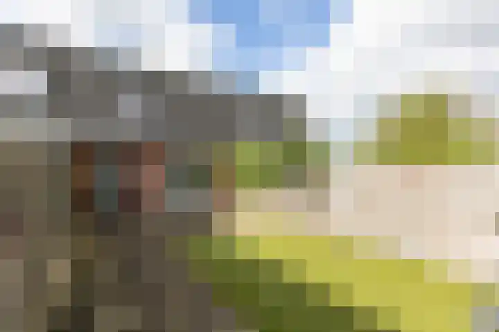 Olde Vossenhof 16 Zeddam thumbnail 25
