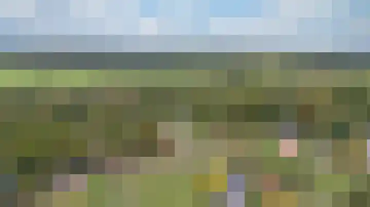 Olde Vossenhof 16 Zeddam thumbnail 4