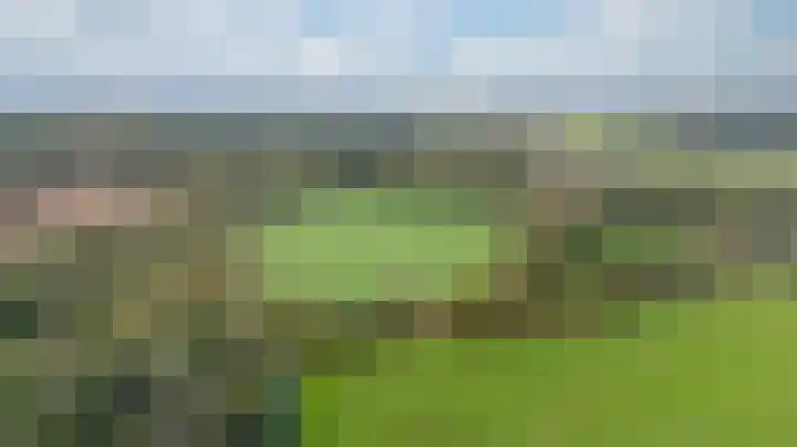 Olde Vossenhof 16 Zeddam thumbnail 50