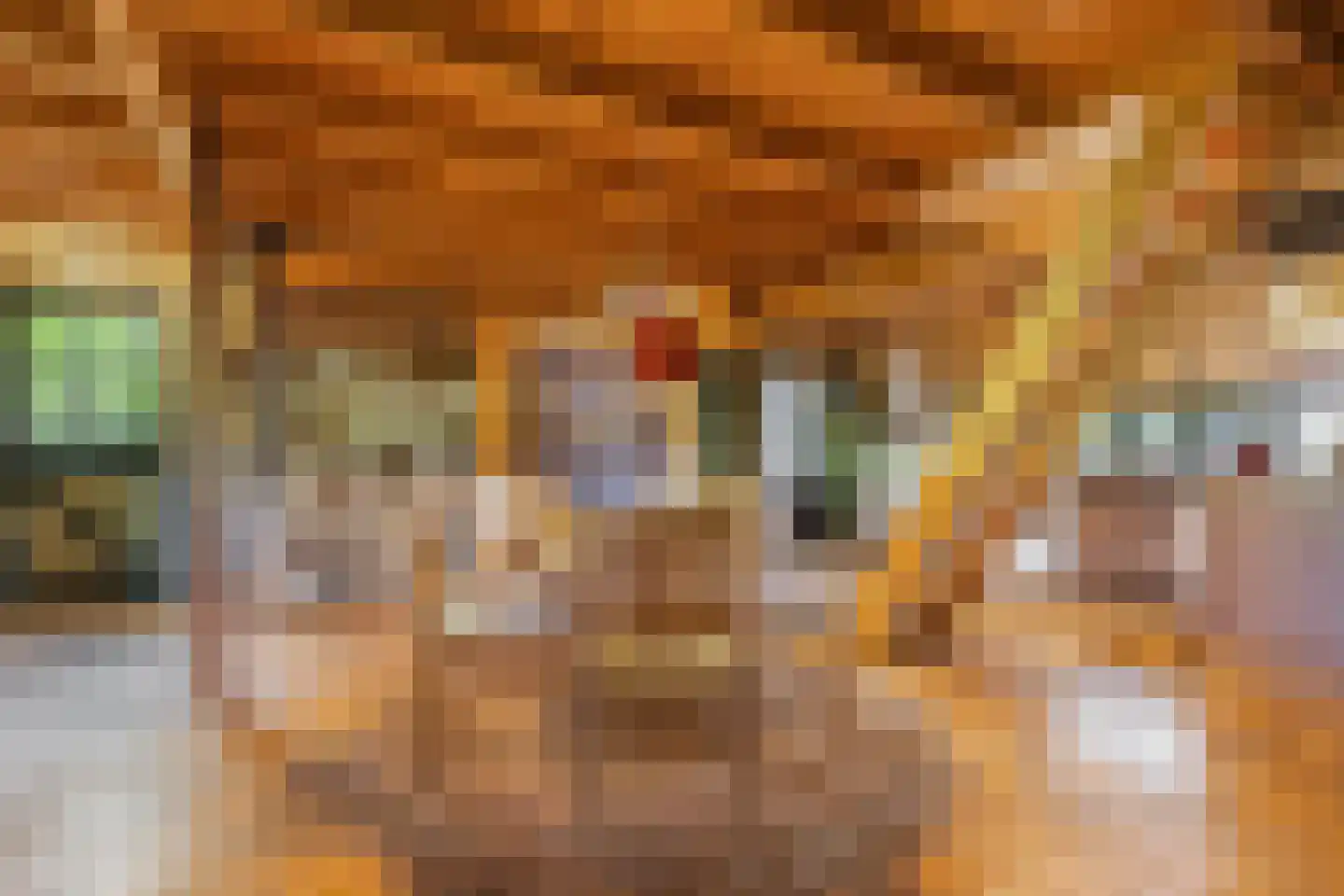 Oldeberkoperweg 30 Zandhuizen thumbnail 10