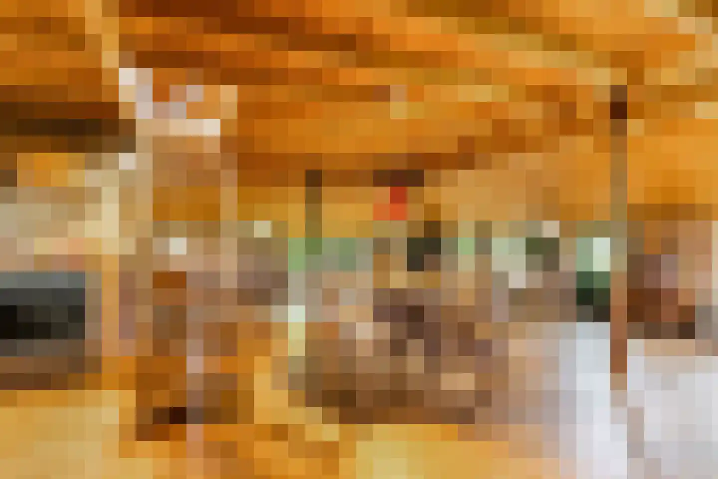 Oldeberkoperweg 30 Zandhuizen thumbnail 11