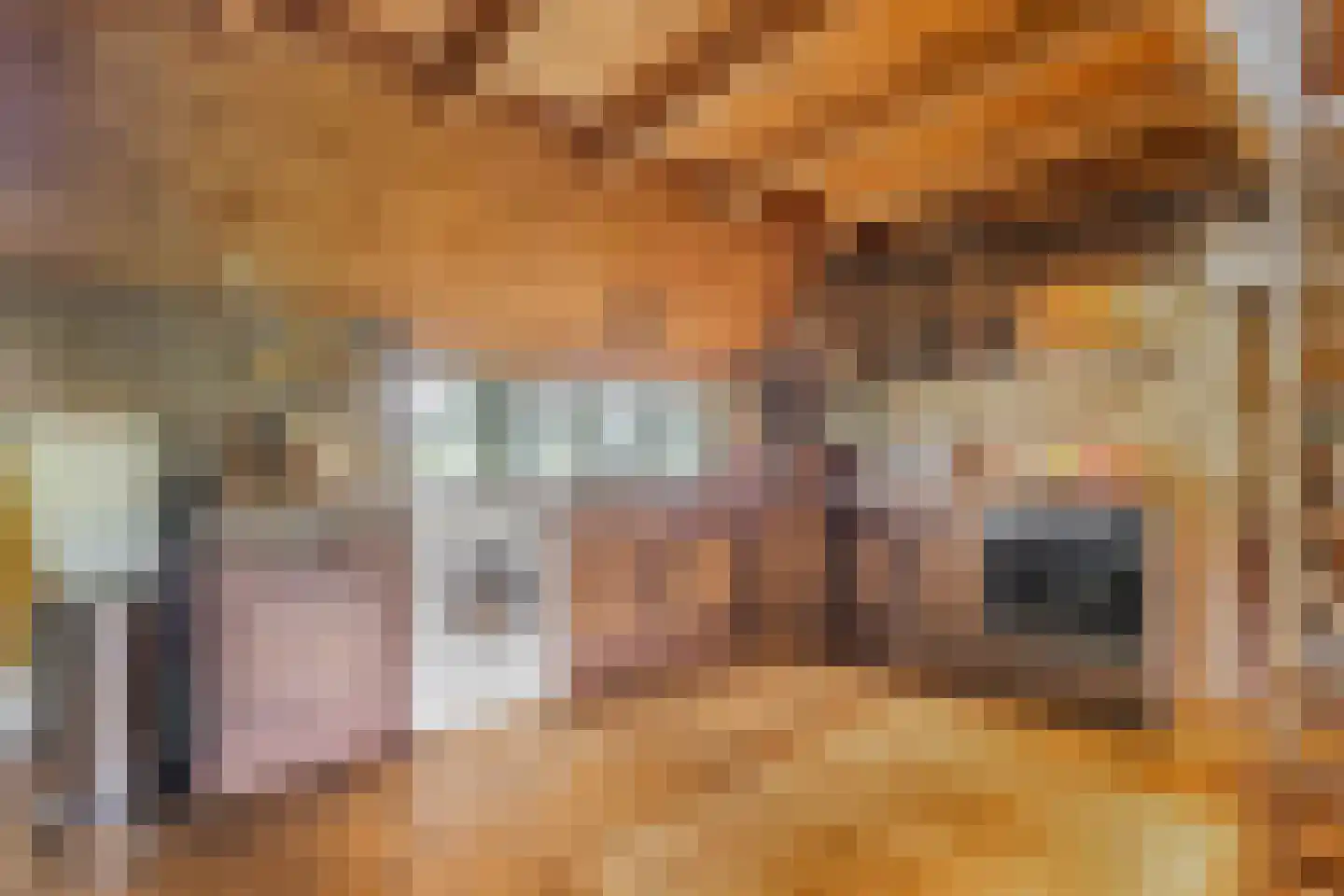 Oldeberkoperweg 30 Zandhuizen thumbnail 12