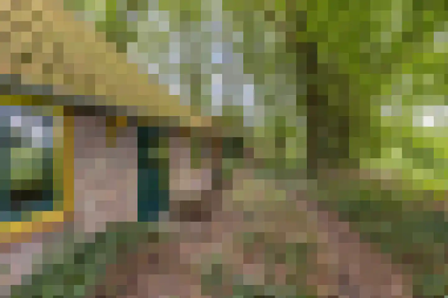 Oldeberkoperweg 30 Zandhuizen thumbnail 22