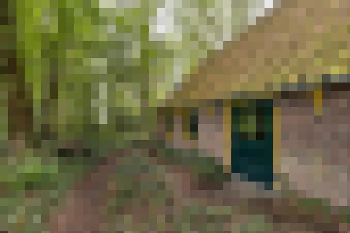 Oldeberkoperweg 30 Zandhuizen thumbnail 23
