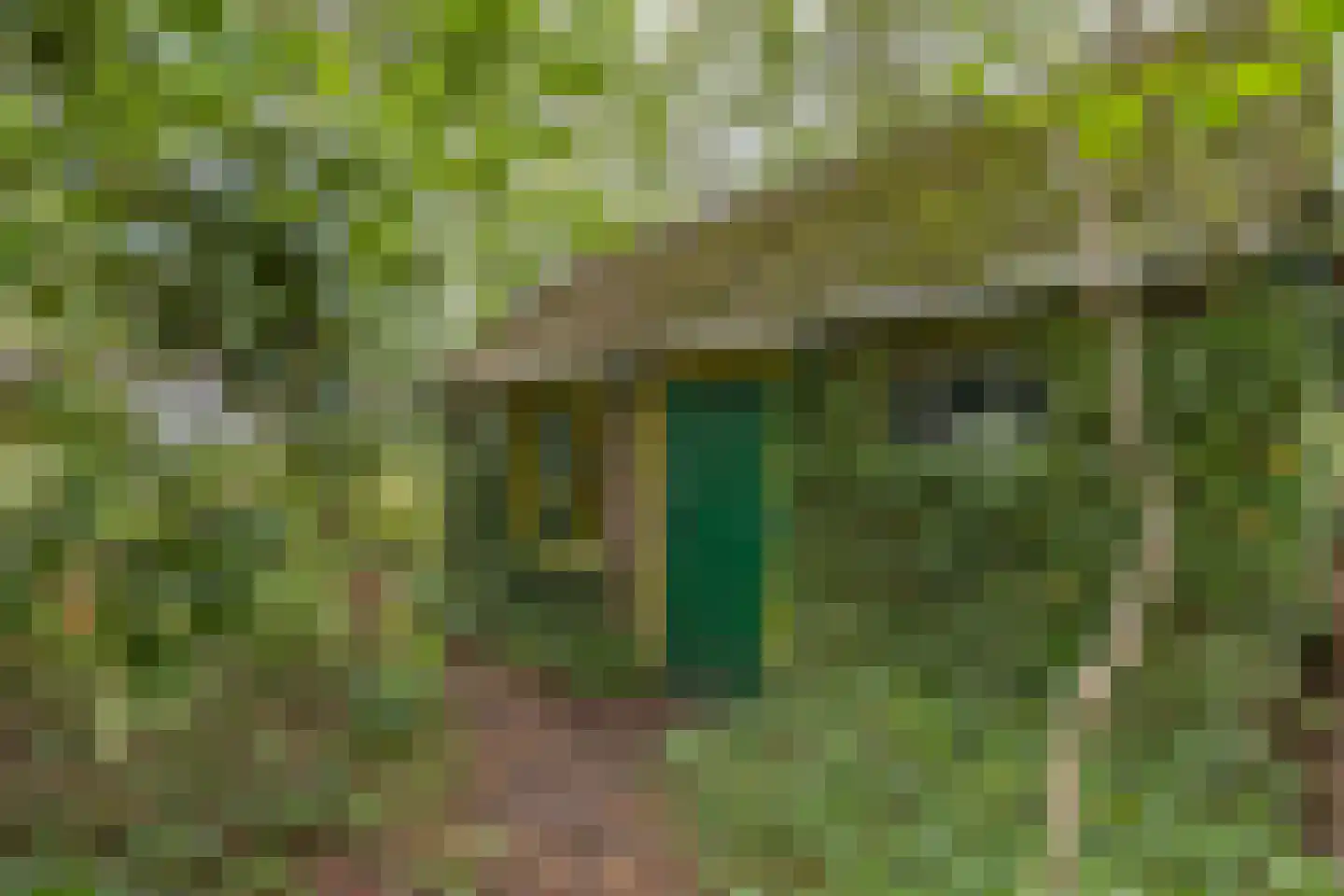 Oldeberkoperweg 30 Zandhuizen thumbnail 24