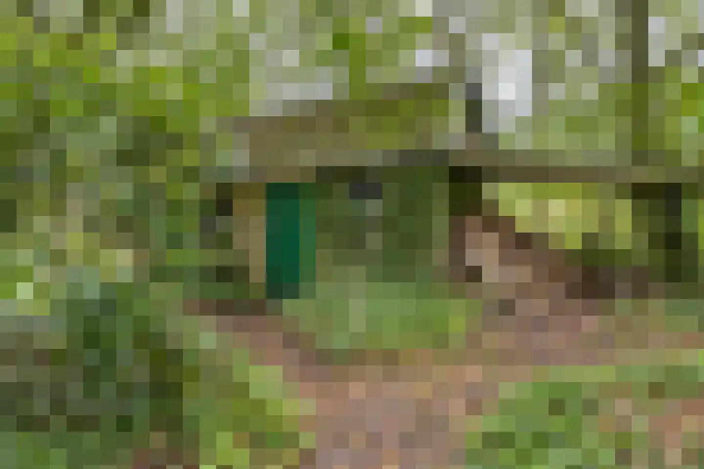 Oldeberkoperweg 30 Zandhuizen thumbnail 25