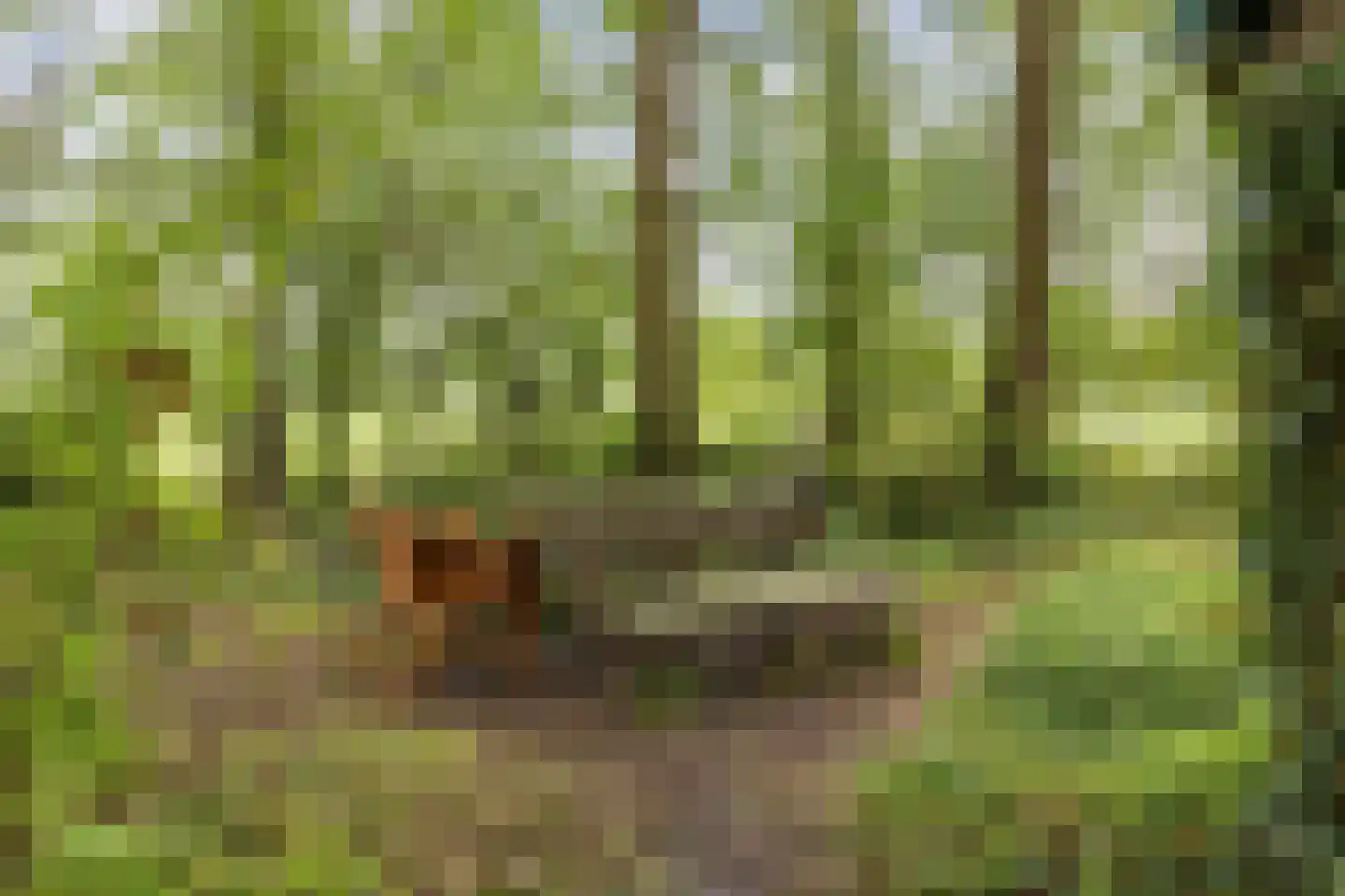 Oldeberkoperweg 30 Zandhuizen thumbnail 26