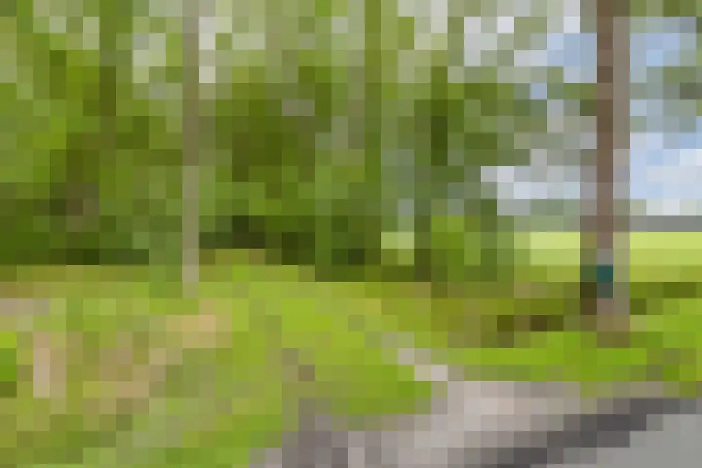 Oldeberkoperweg 30 Zandhuizen thumbnail 28