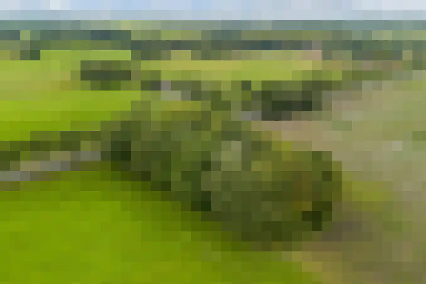 Oldeberkoperweg 30 Zandhuizen thumbnail 29