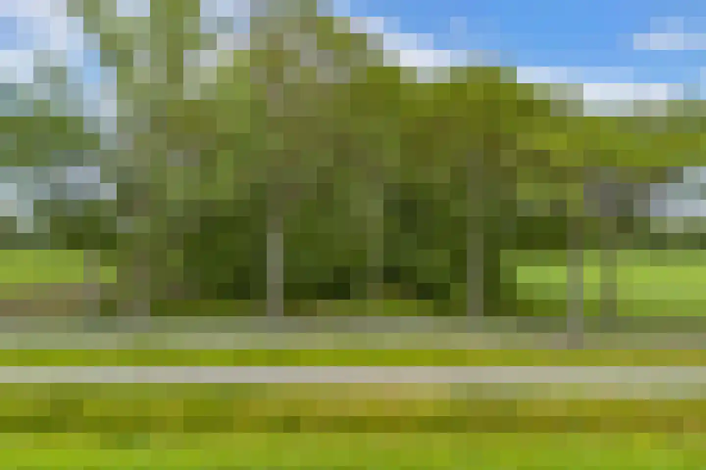 Oldeberkoperweg 30 Zandhuizen thumbnail 30