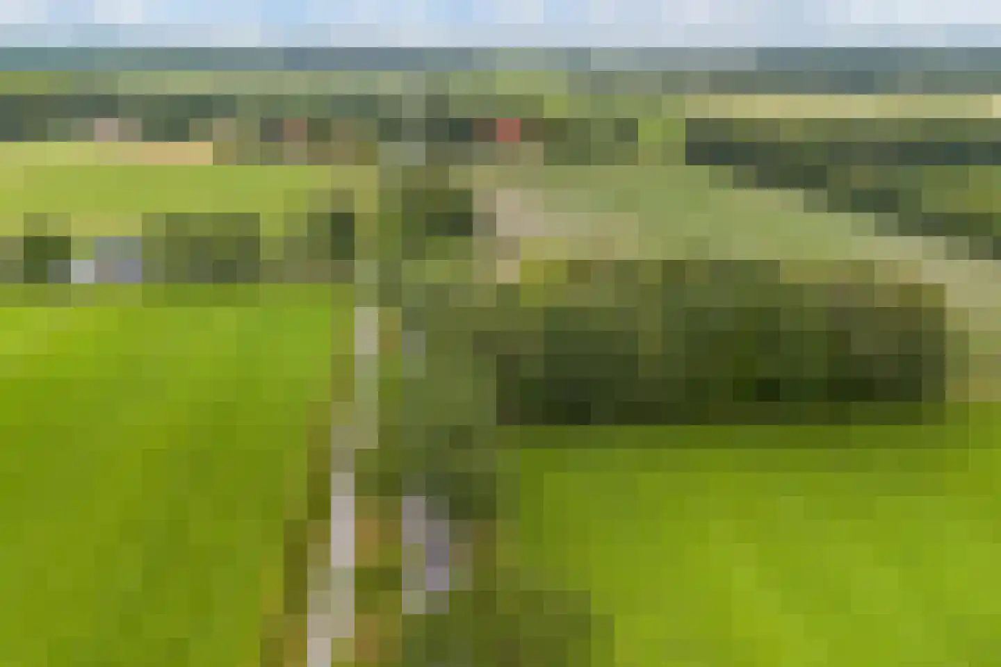 Oldeberkoperweg 30 Zandhuizen thumbnail 31