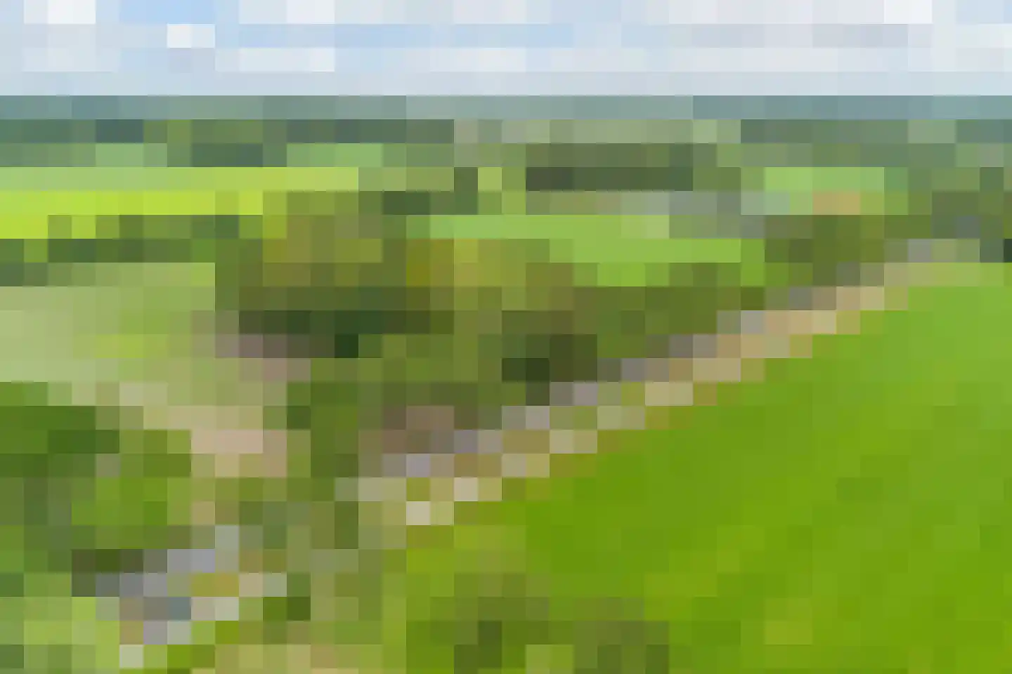 Oldeberkoperweg 30 Zandhuizen thumbnail 32