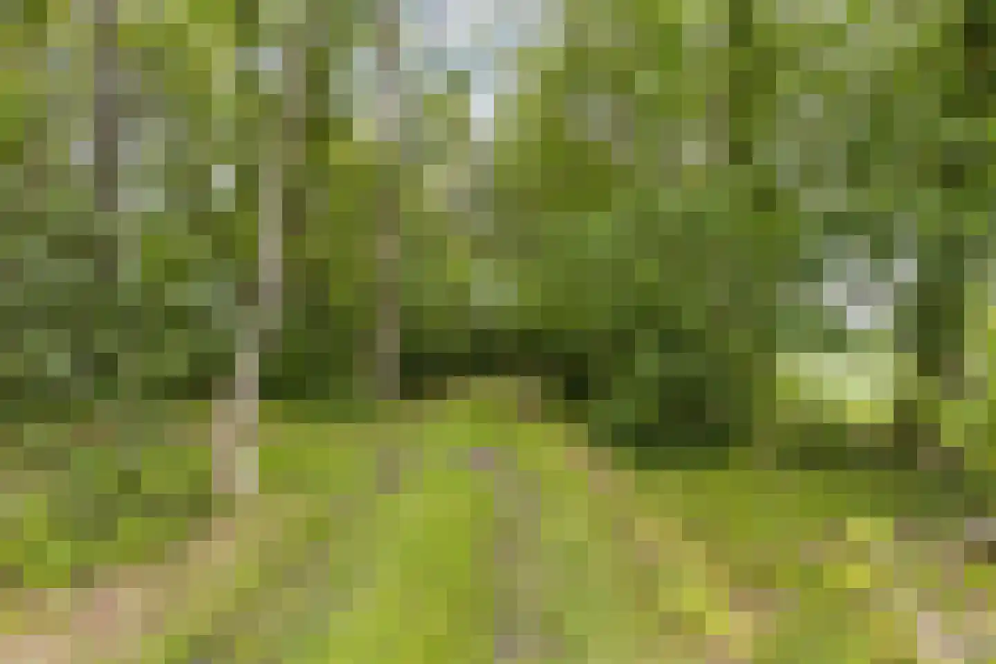 Oldeberkoperweg 30 Zandhuizen thumbnail 4