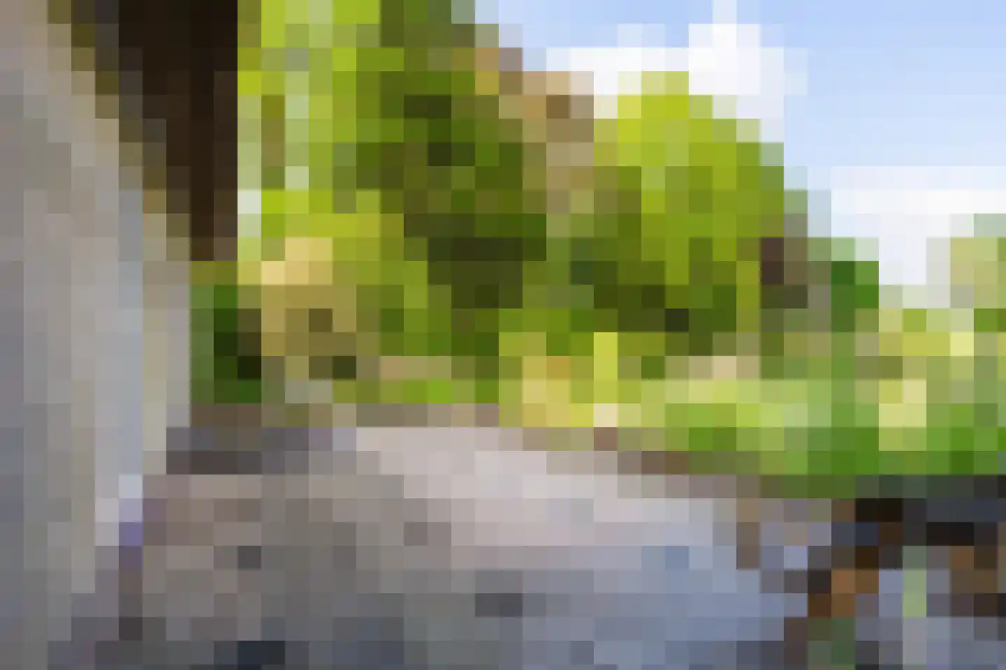 Oldeberkoperweg 34 Oudehorne thumbnail 13