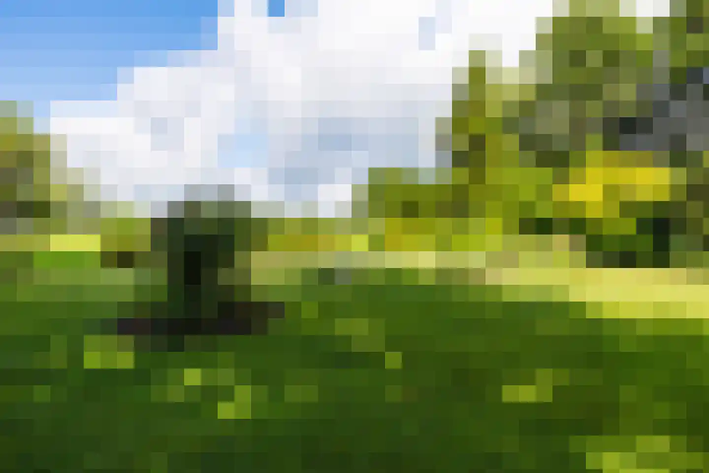 Oldeberkoperweg 34 Oudehorne thumbnail 16