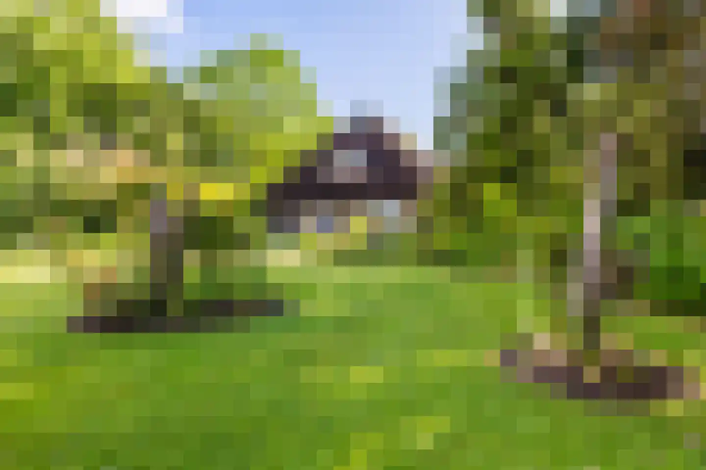 Oldeberkoperweg 34 Oudehorne thumbnail 17