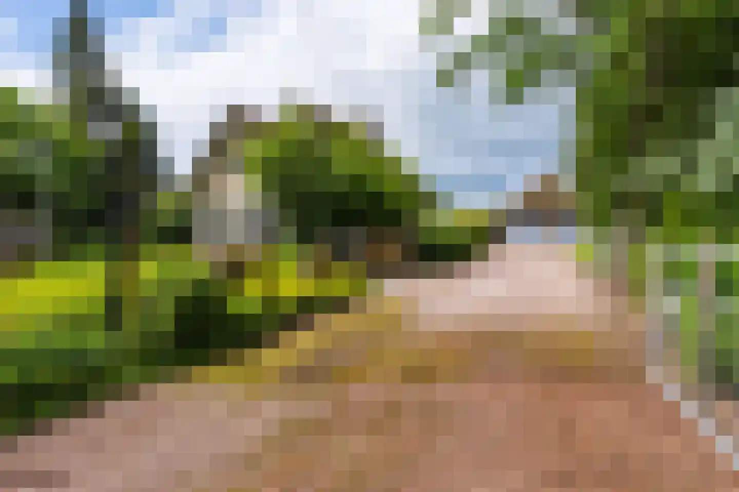 Oldeberkoperweg 34 Oudehorne thumbnail 22