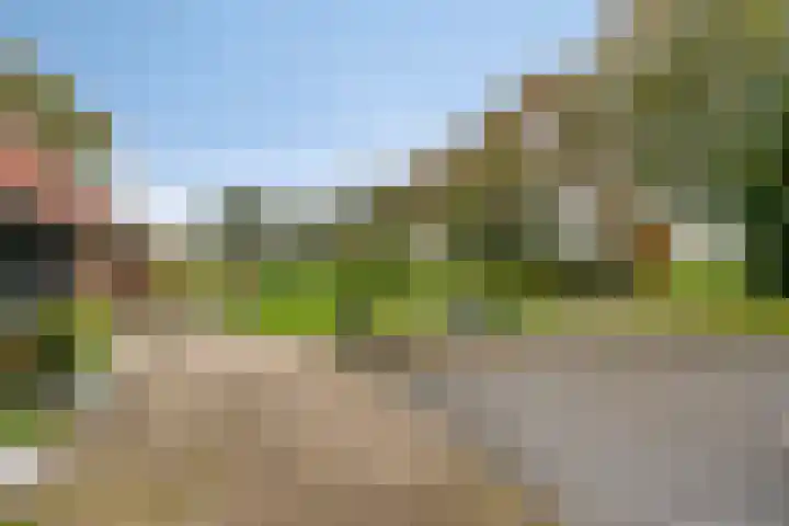 Oldeberkoperweg 34 Zandhuizen thumbnail 27