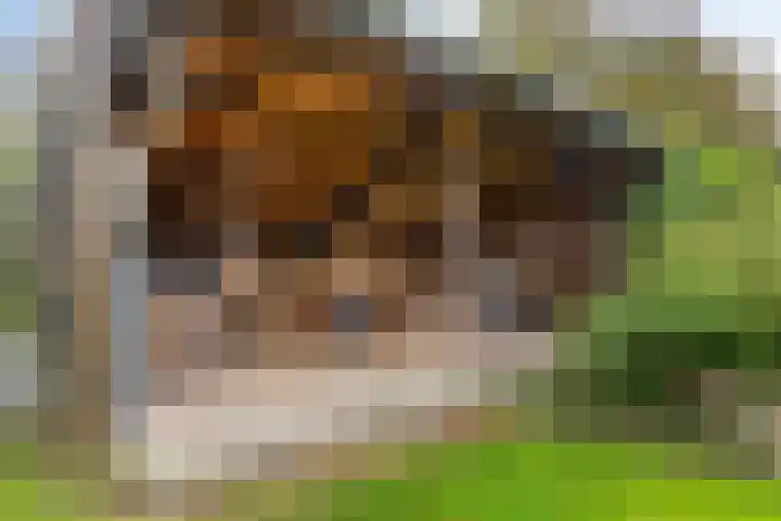Oldeberkoperweg 34 Zandhuizen thumbnail 31