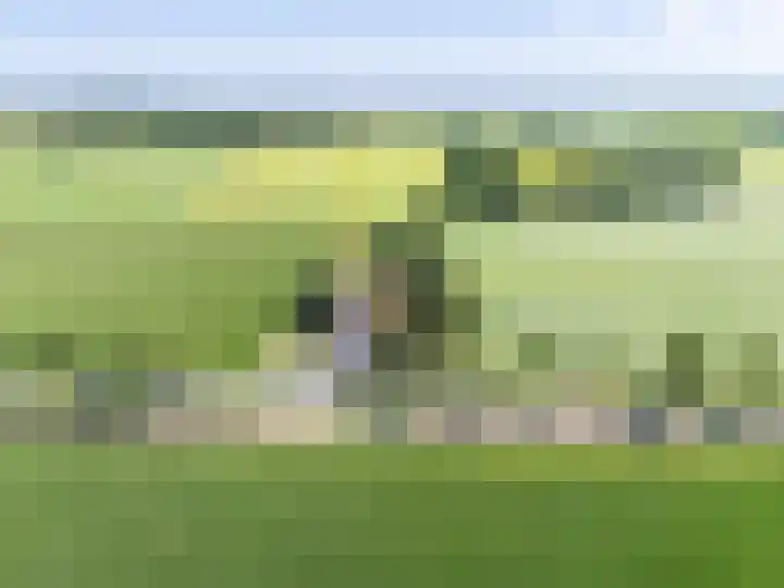Oldeberkoperweg 34 Zandhuizen thumbnail 34