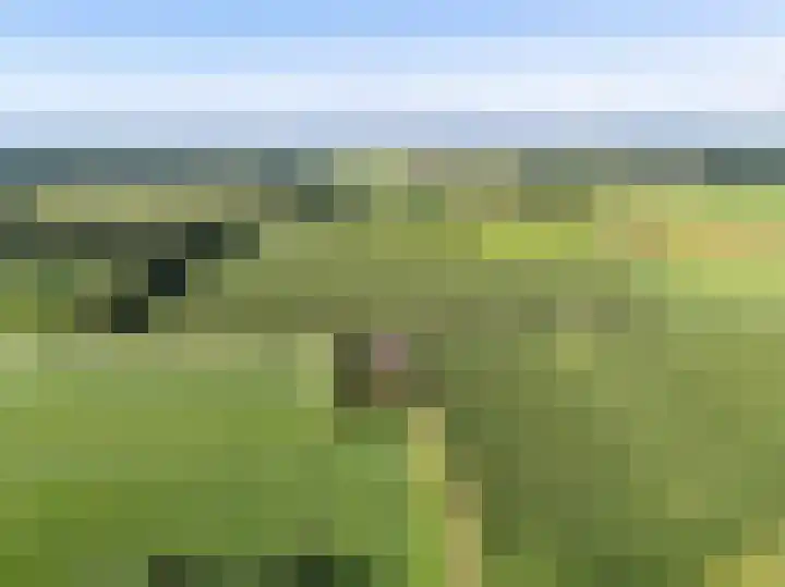 Oldeberkoperweg 34 Zandhuizen thumbnail 4