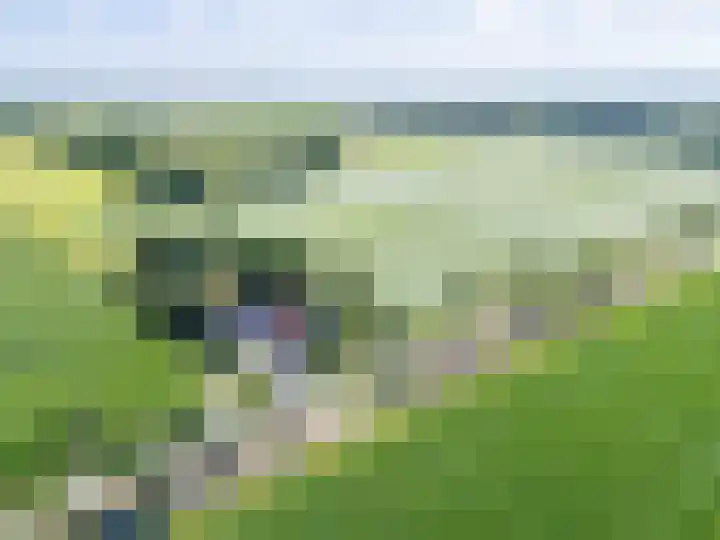 Oldeberkoperweg 34 Zandhuizen thumbnail 5