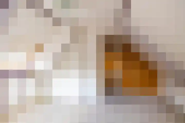 Oldebertweg 35 Leek thumbnail 33