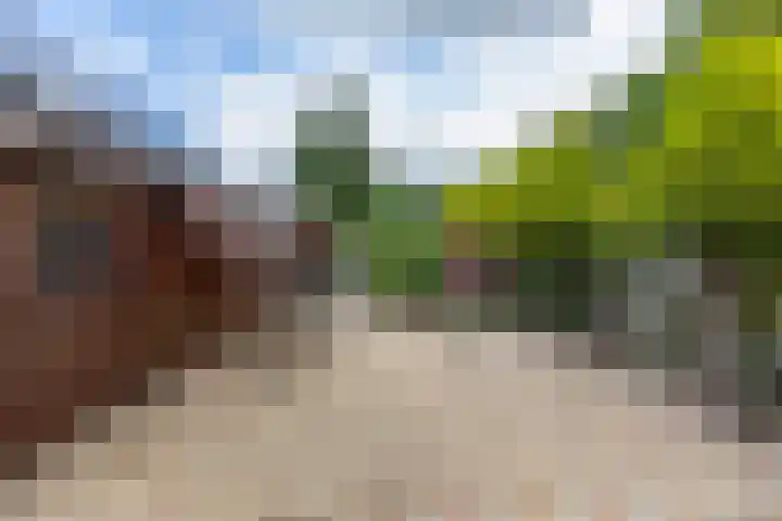 Oldebertweg 35 Leek thumbnail 39