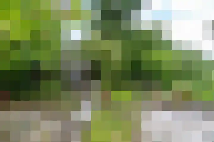 Oldebertweg 35 Leek thumbnail 46