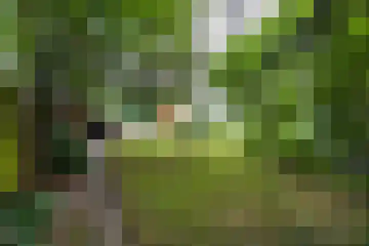 Oldebertweg 35 Leek thumbnail 47