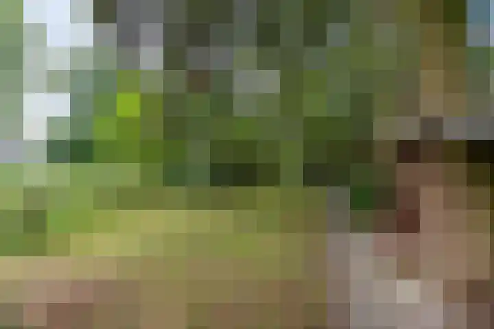Oldebertweg 35 Leek thumbnail 52