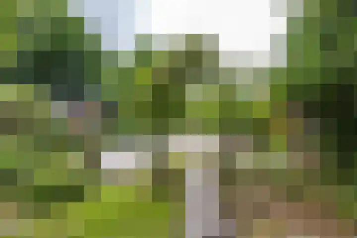 Oldebertweg 35 Leek thumbnail 53