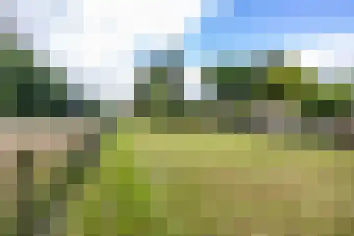 Oldebertweg 35 Leek thumbnail 6