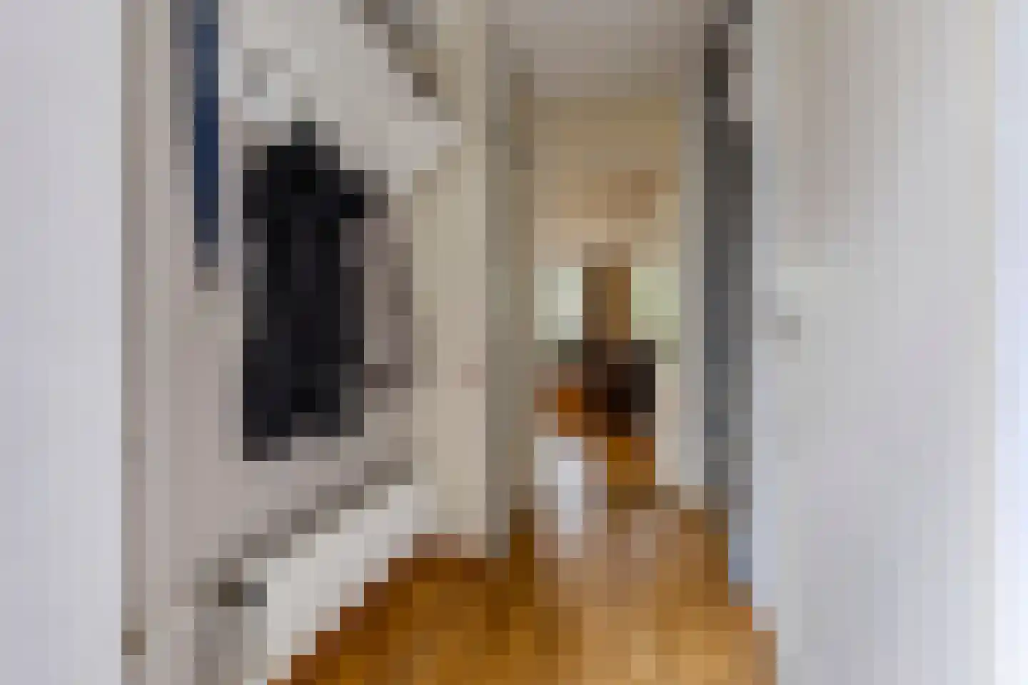 Oldebroekstraat 61 Zaandam thumbnail 13