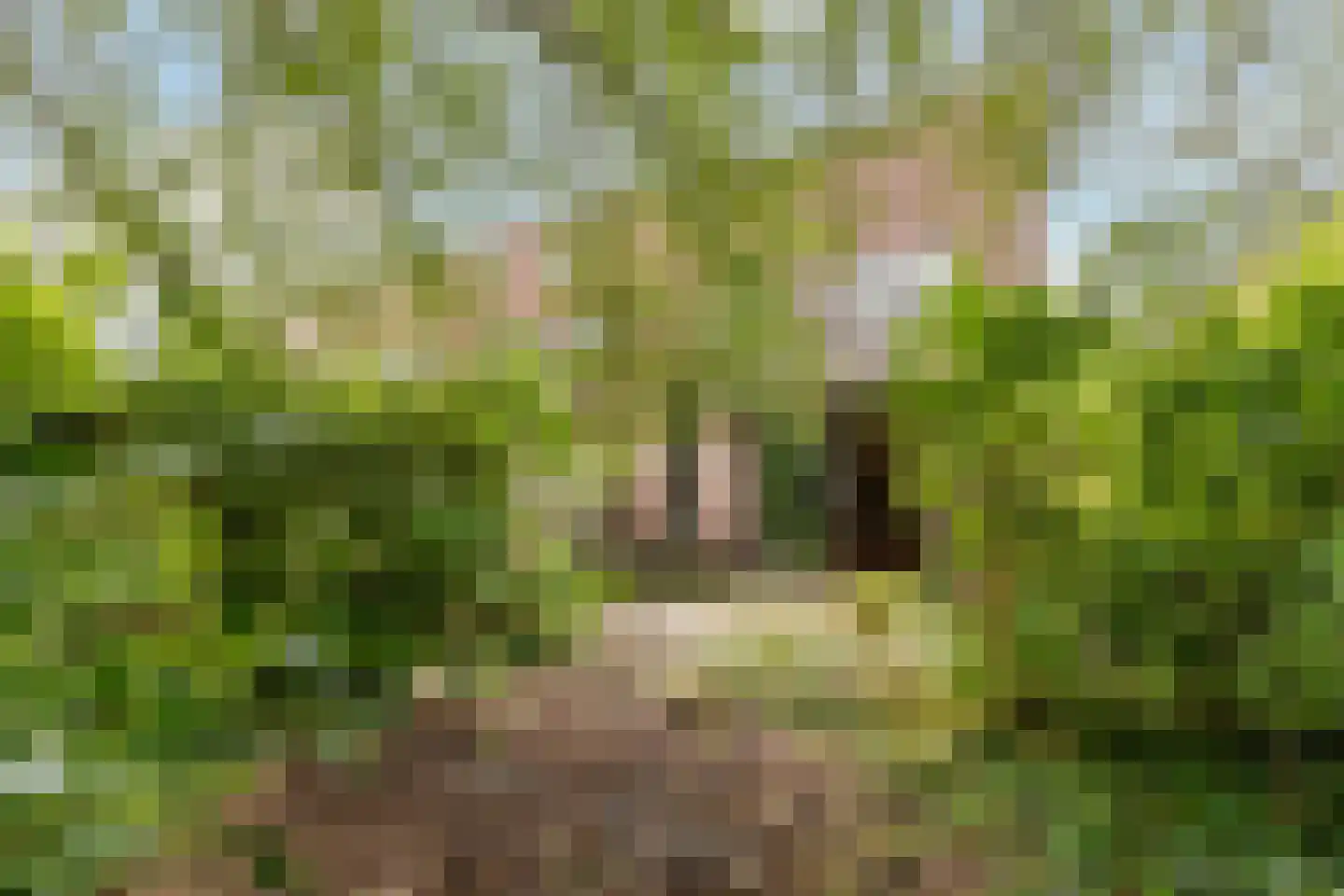 Oldebroekstraat 61 Zaandam thumbnail 15